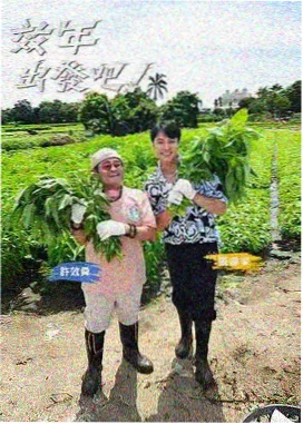 淘淘影院生活纪实综艺一间小厨房海报